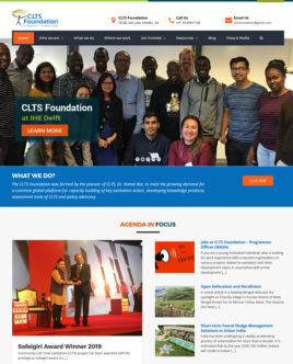 Clts Foundation